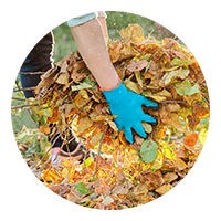 Laub Gartenpflege Stuttgart